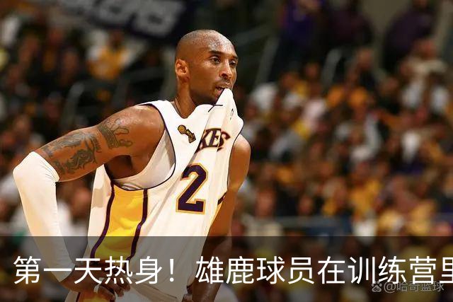 第一天热身！雄鹿球员在训练营里挥汗如雨